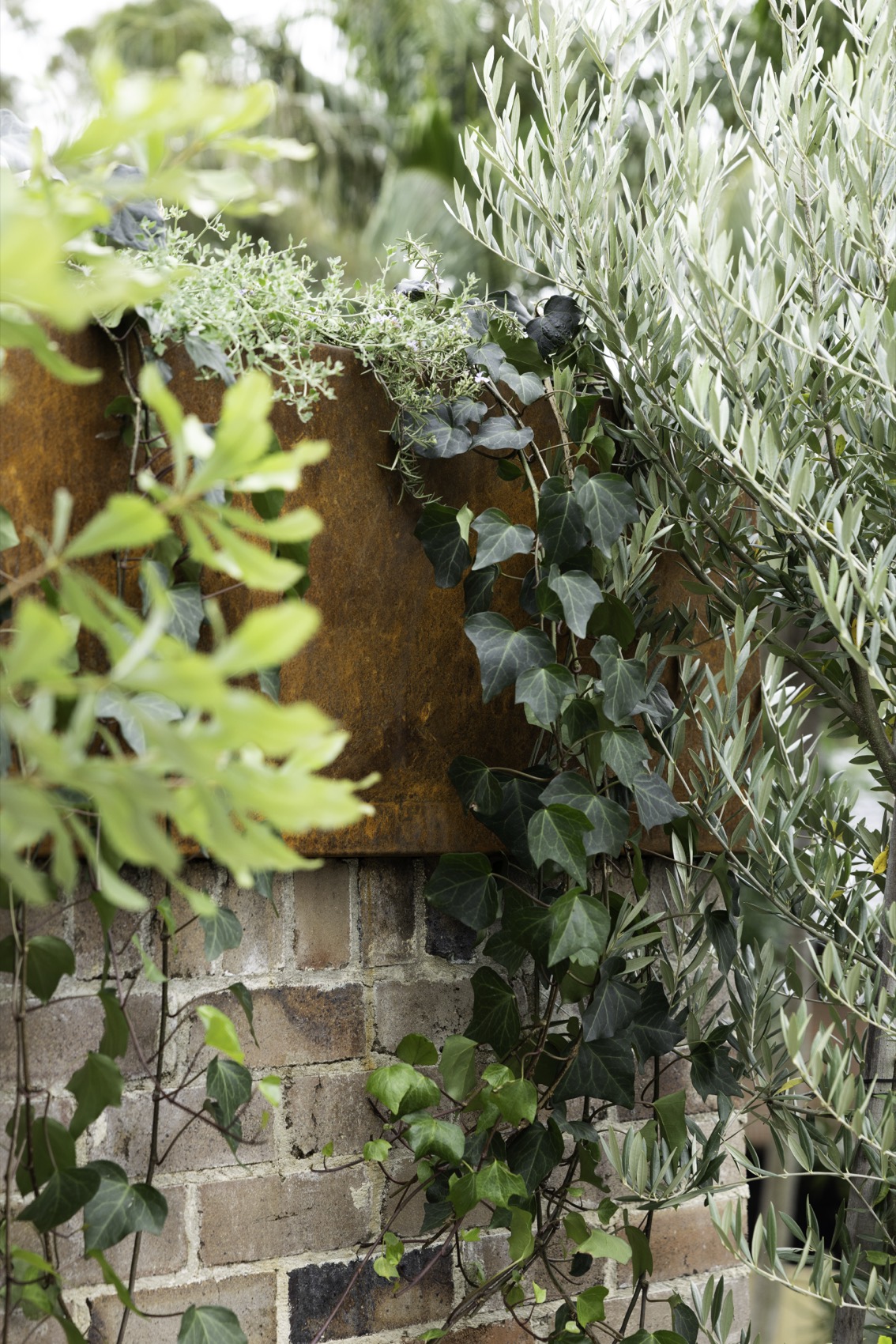 SHAPESCAPER featured on Better Homes and Gardens