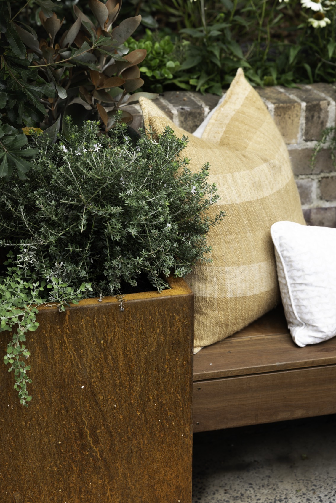 SHAPESCAPER featured on Better Homes and Gardens