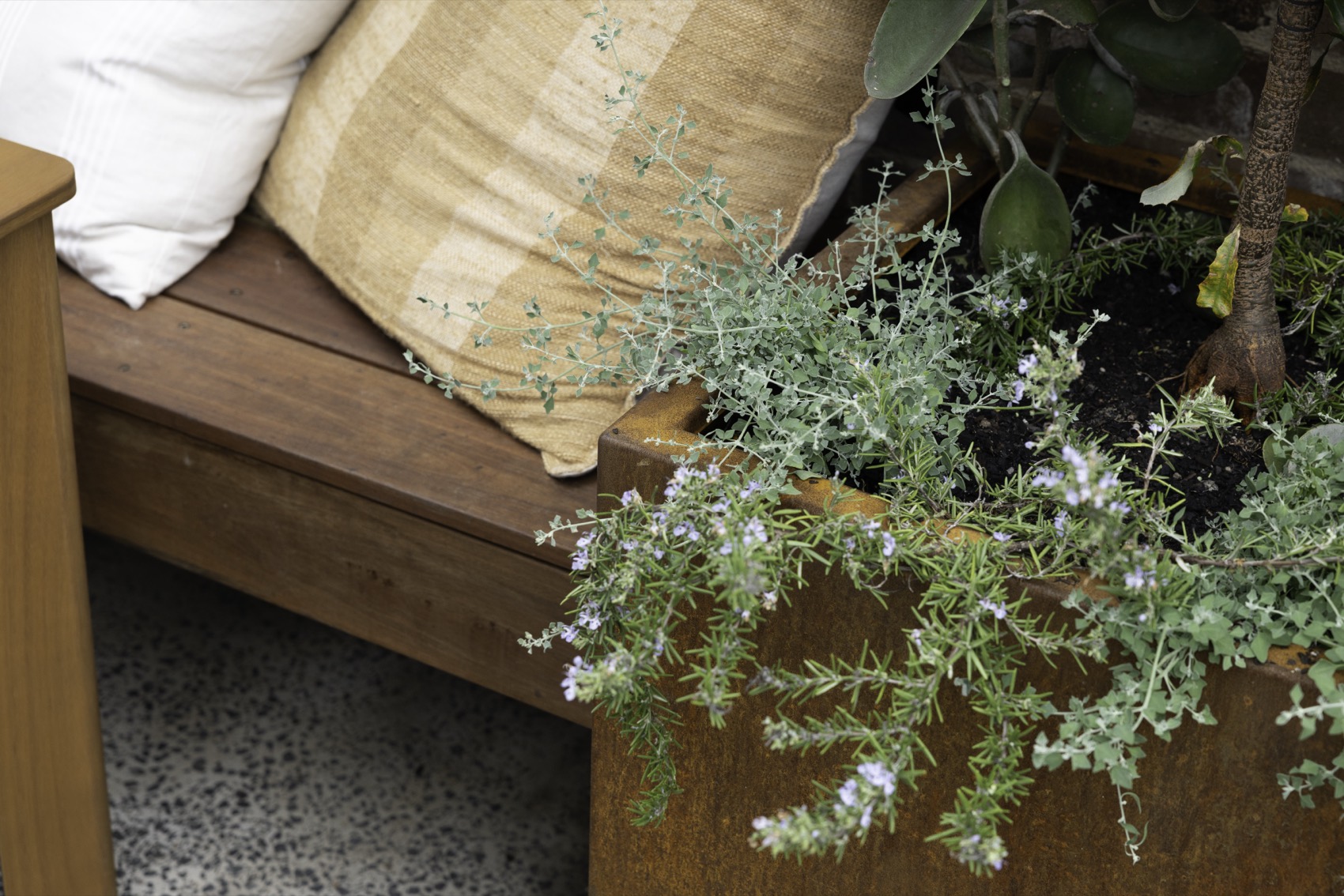 SHAPESCAPER featured on Better Homes and Gardens