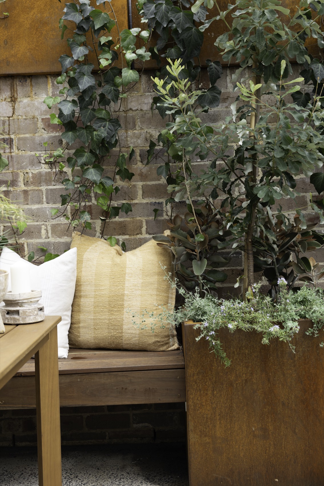 SHAPESCAPER featured on Better Homes and Gardens