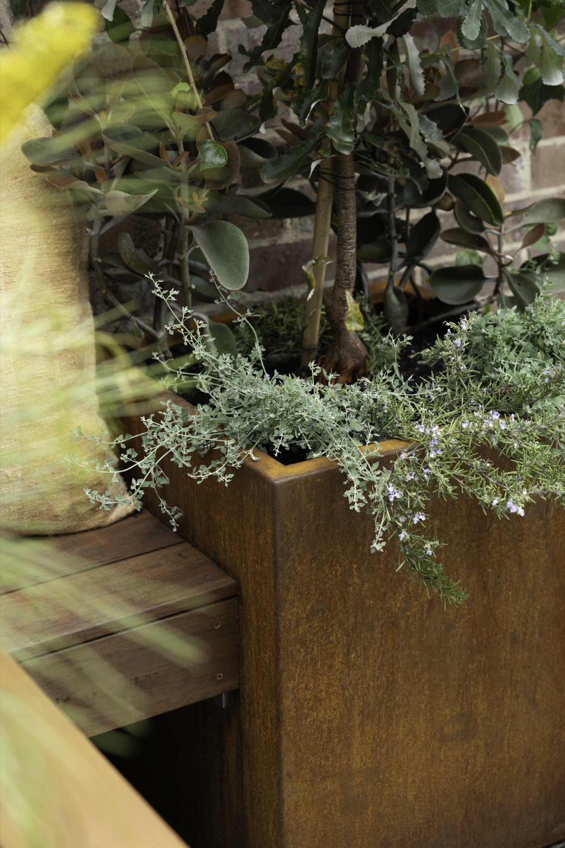 SHAPESCAPER featured on Better Homes and Gardens