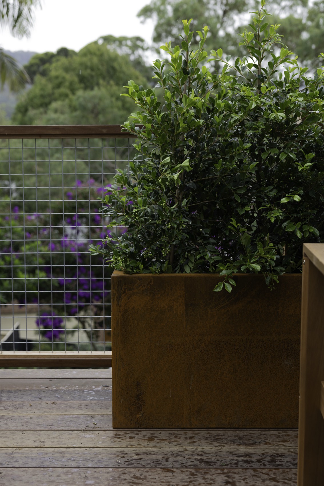 SHAPESCAPER featured on Better Homes and Gardens