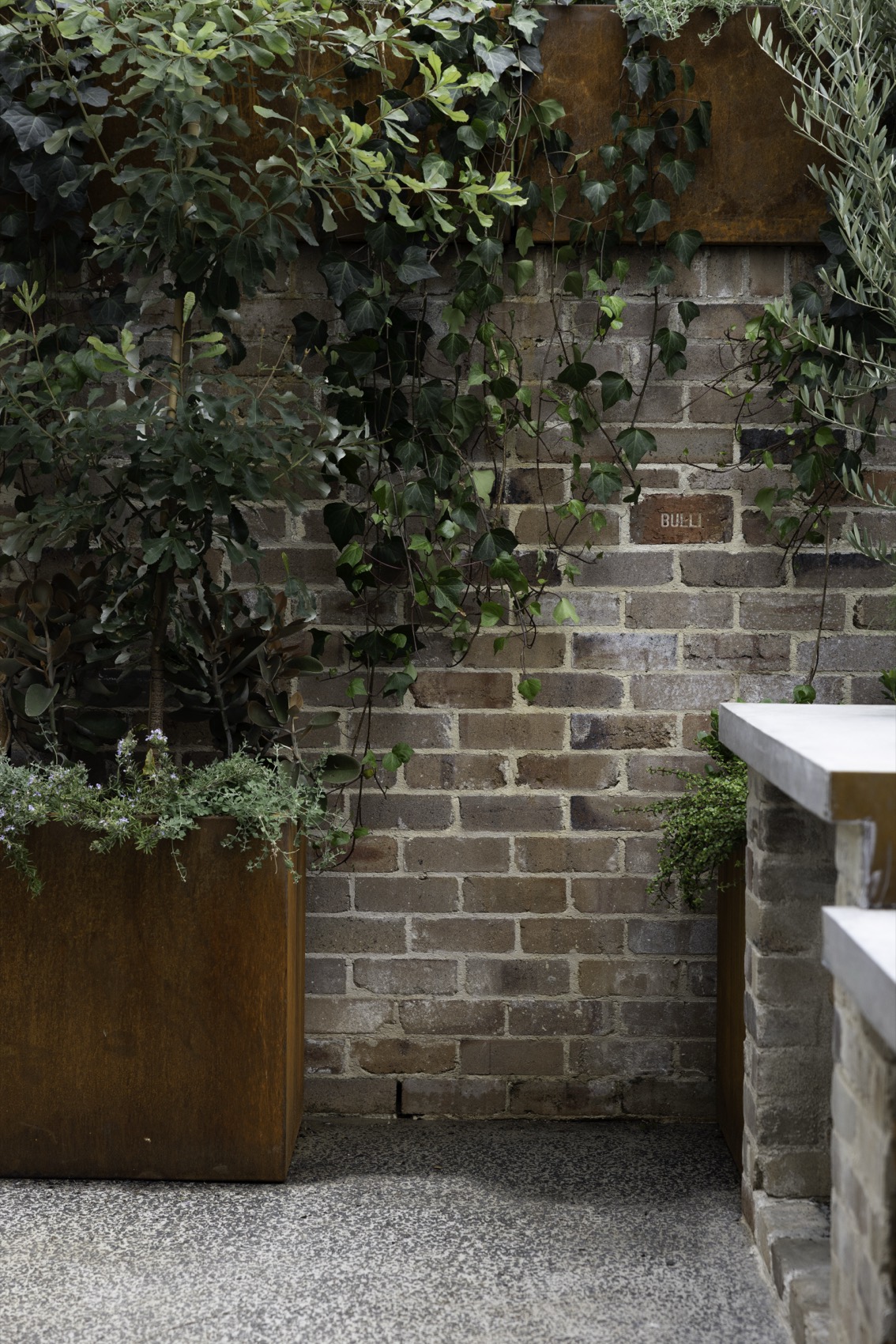 SHAPESCAPER featured on Better Homes and Gardens