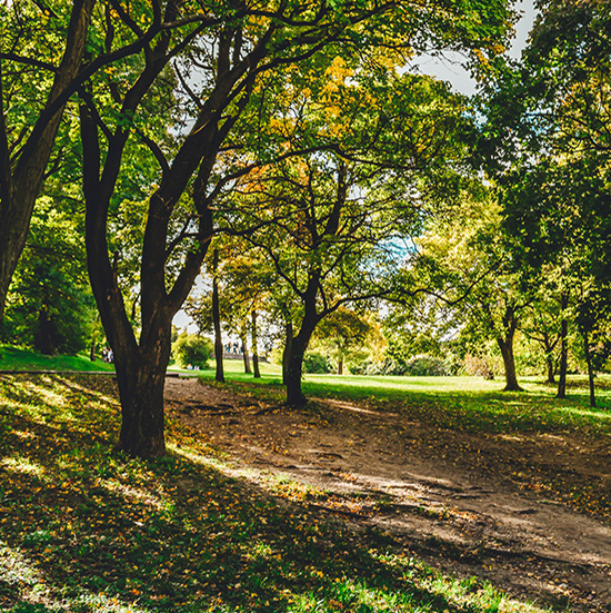 Parks & Gardens