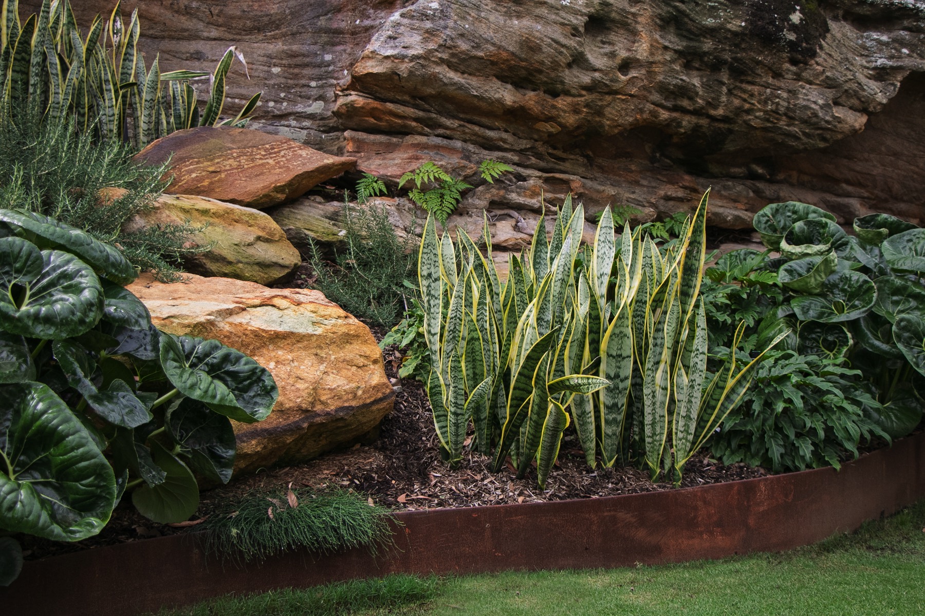 SHAPESCAPER steel landscaping project